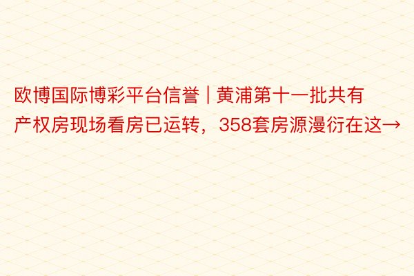 欧博国际博彩平台信誉 | 黄浦第十一批共有产权房现场看房已运转，358套房源漫衍在这→