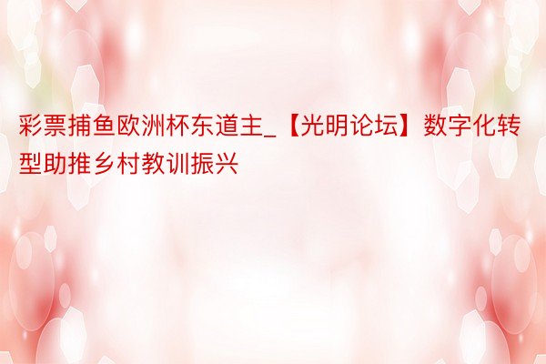 彩票捕鱼欧洲杯东道主_【光明论坛】数字化转型助推乡村教训振兴