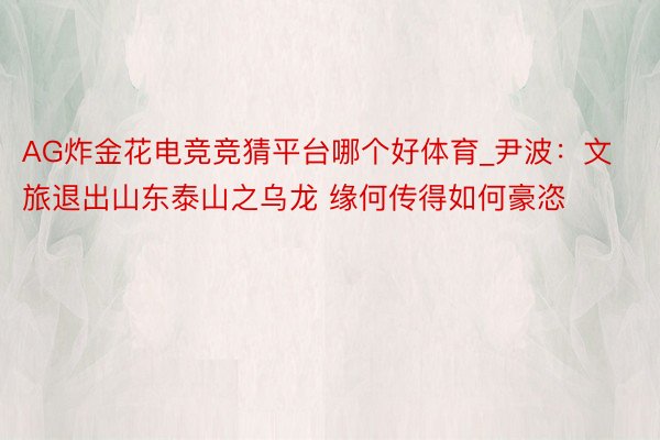 AG炸金花电竞竞猜平台哪个好体育_尹波：文旅退出山东泰山之乌龙 缘何传得如何豪恣