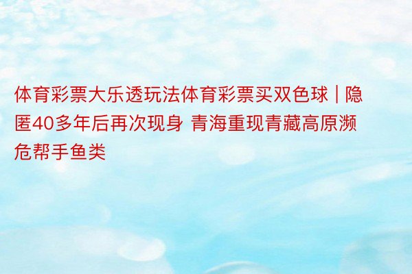 体育彩票大乐透玩法体育彩票买双色球 | 隐匿40多年后再次现身 青海重现青藏高原濒危帮手鱼类