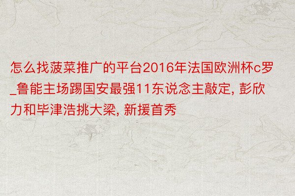 怎么找菠菜推广的平台2016年法国欧洲杯c罗_鲁能主场踢国安最强11东说念主敲定, 彭欣力和毕津浩挑大梁, 新援首秀