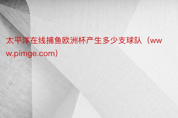 太平洋在线捕鱼欧洲杯产生多少支球队（www.pimge.com）